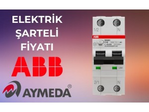 Elektrik Şarteli Fiyatı