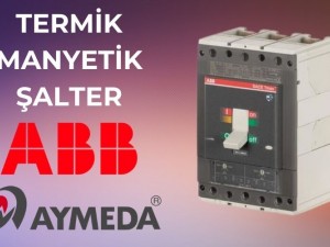 Termik Manyetik Şalter