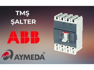 TMŞ Şalter